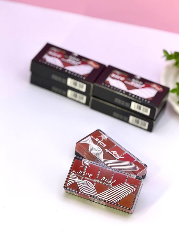 پالت رژگونه نایس Nice | قیمت و مشخصات کامل